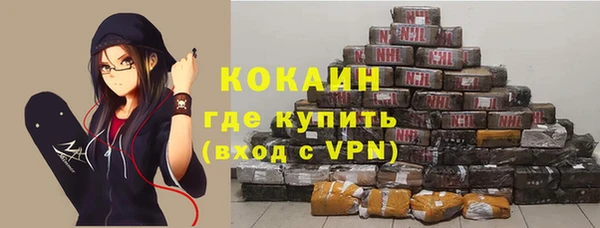 кокс Алексин