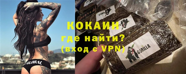 кокс Алексин